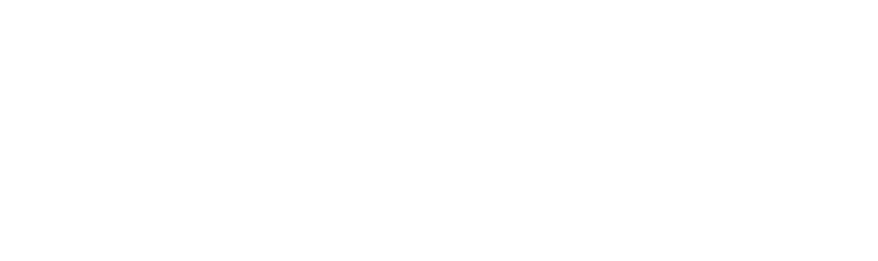 logodelight